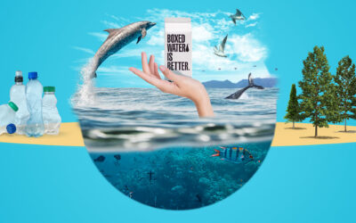Part 1/5: Stop plastic pollution by re-inventing consumer packaging.