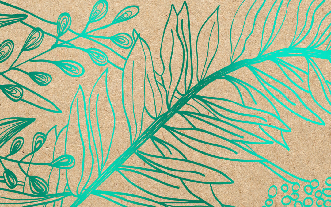 Sustainable premium packaging: saving the planet in style