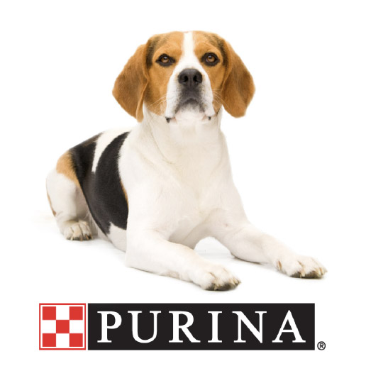 purina brand 