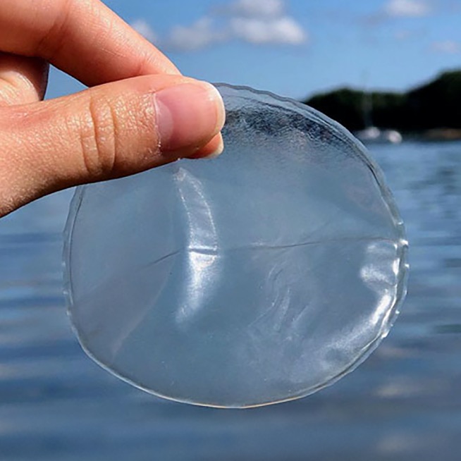 Oceanium: Sustainable Resources